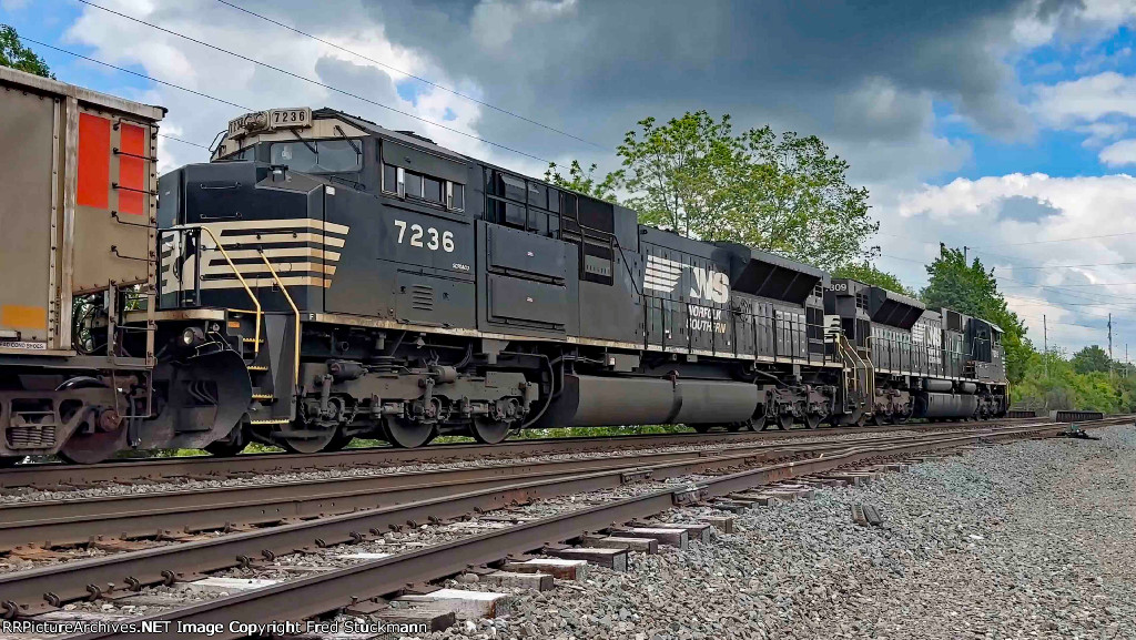NS 7236